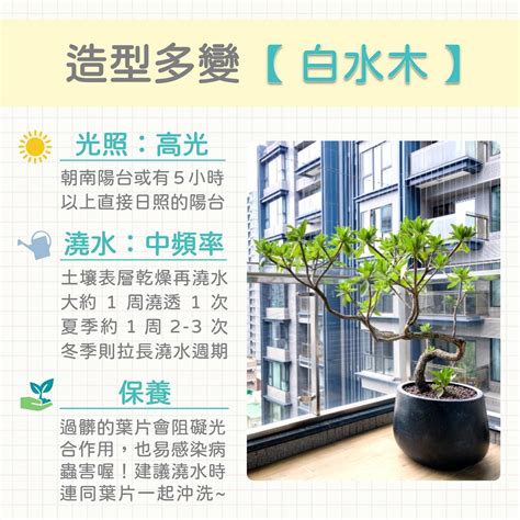 生活品植|生活品植 Plants & Life